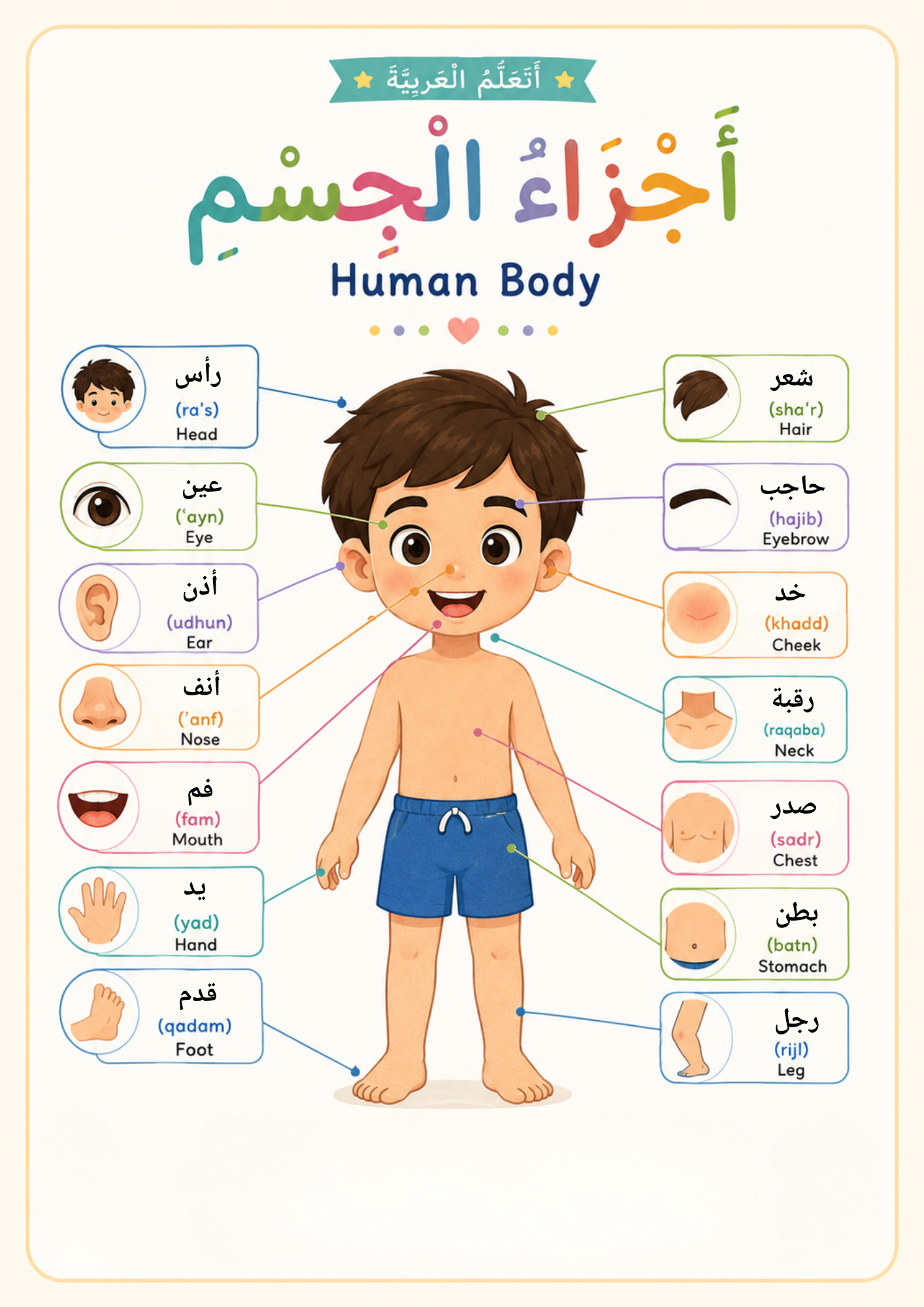 Arabic Learning Posters, Printable Wall Charts, PDF